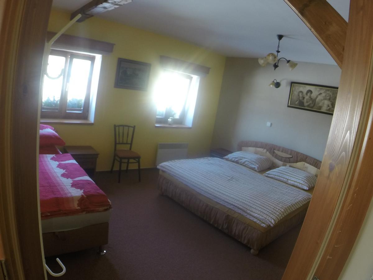 Apartment U Videmanu Poniklá 外观 照片